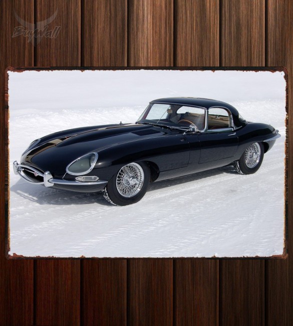 Металлическая табличка Jaguar E-Type Roadster (Series I) 339